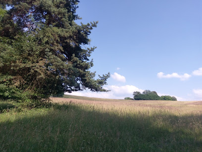 vybavenie image